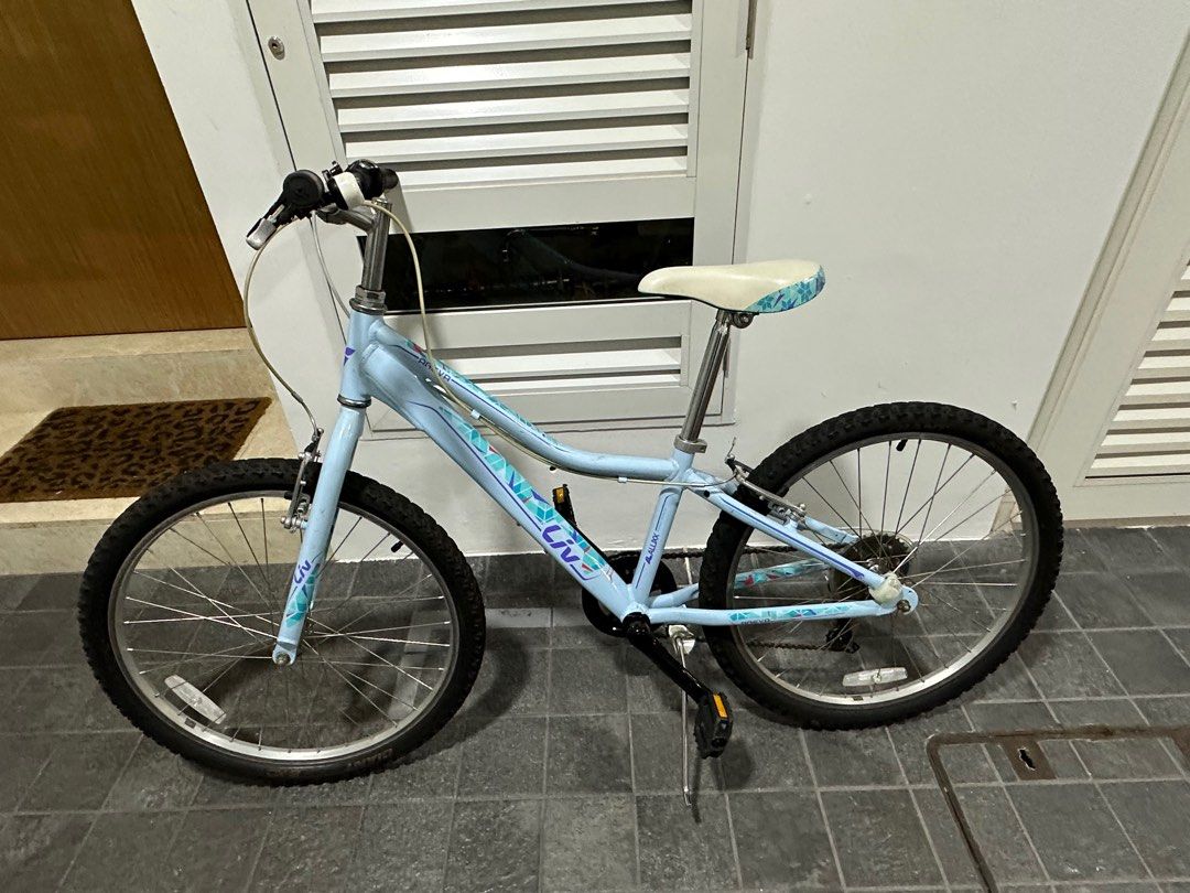 Bike Giant Liv Areva 24