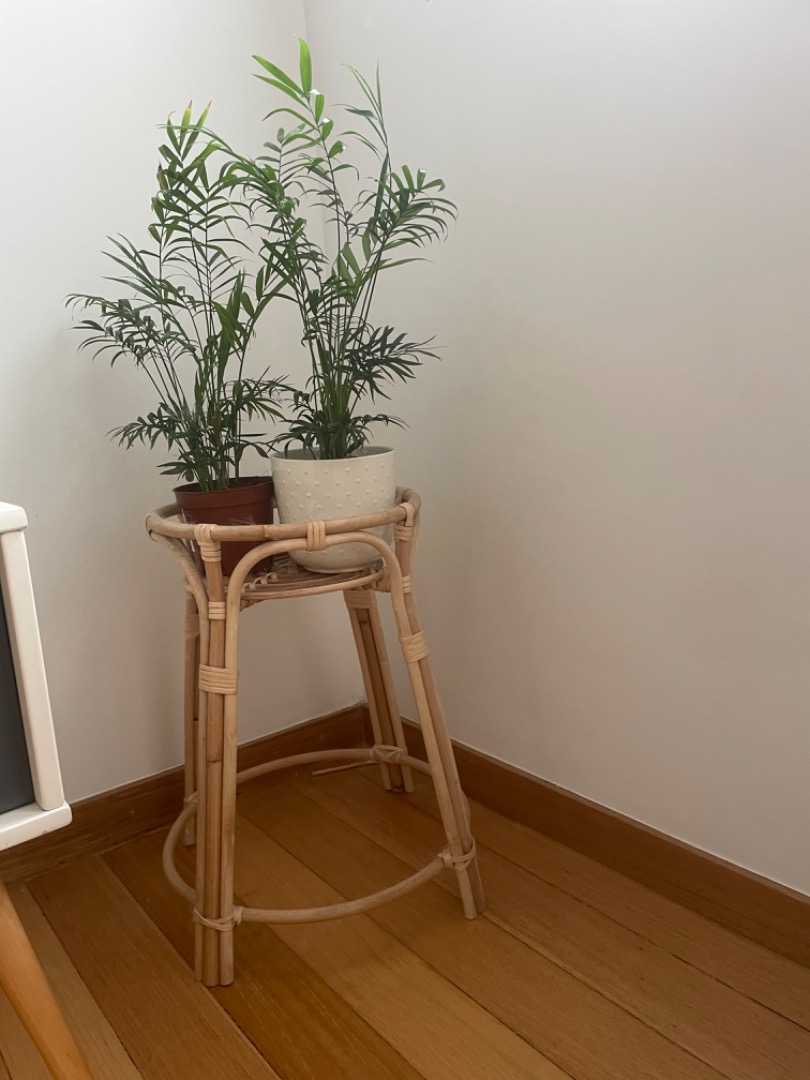 Plant Stand, Furniture & Home Living, Furniture, Other Home Furniture ...