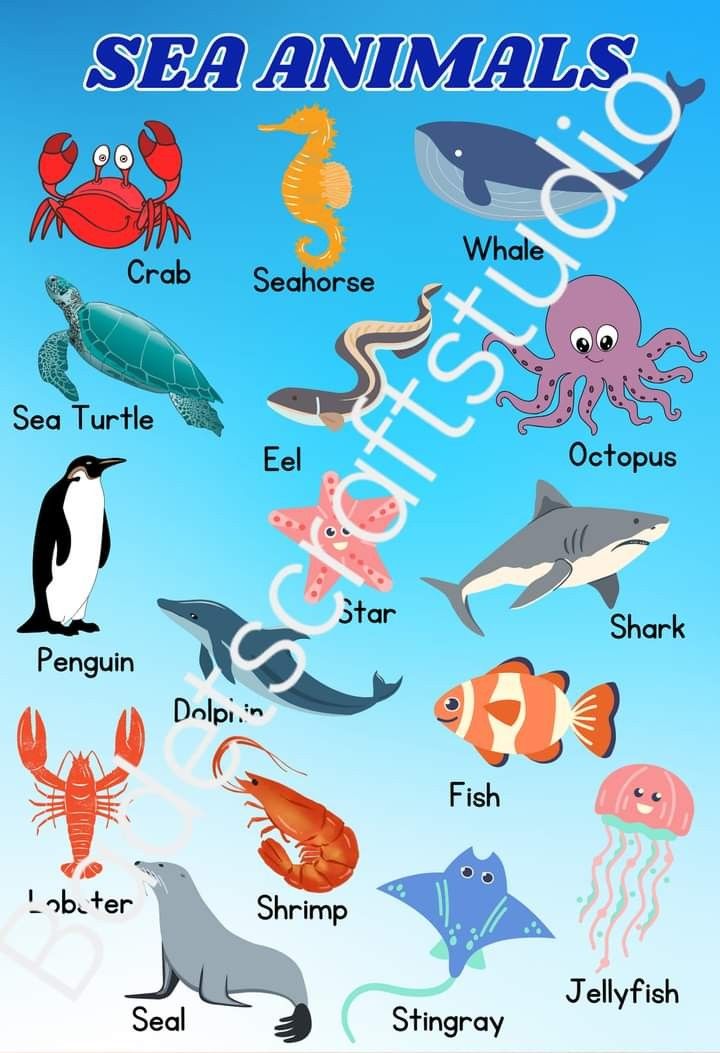 PRINTABLE EDUCATIONAL CHART, Looking For on Carousell