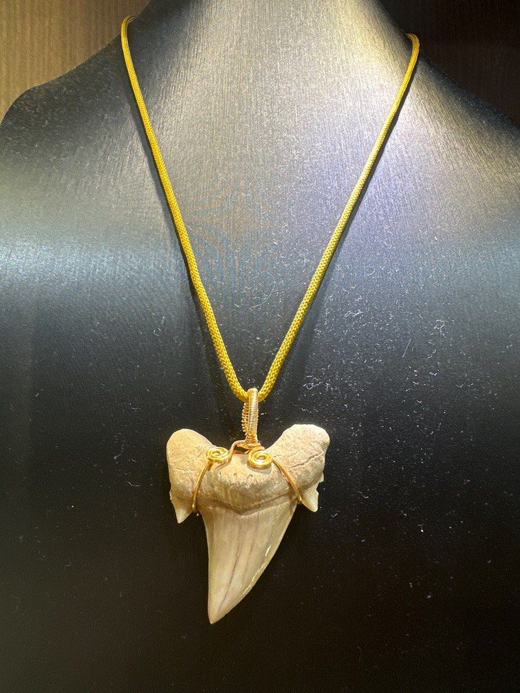 Real Great White Shark Tooth Women s Fashion Jewelry