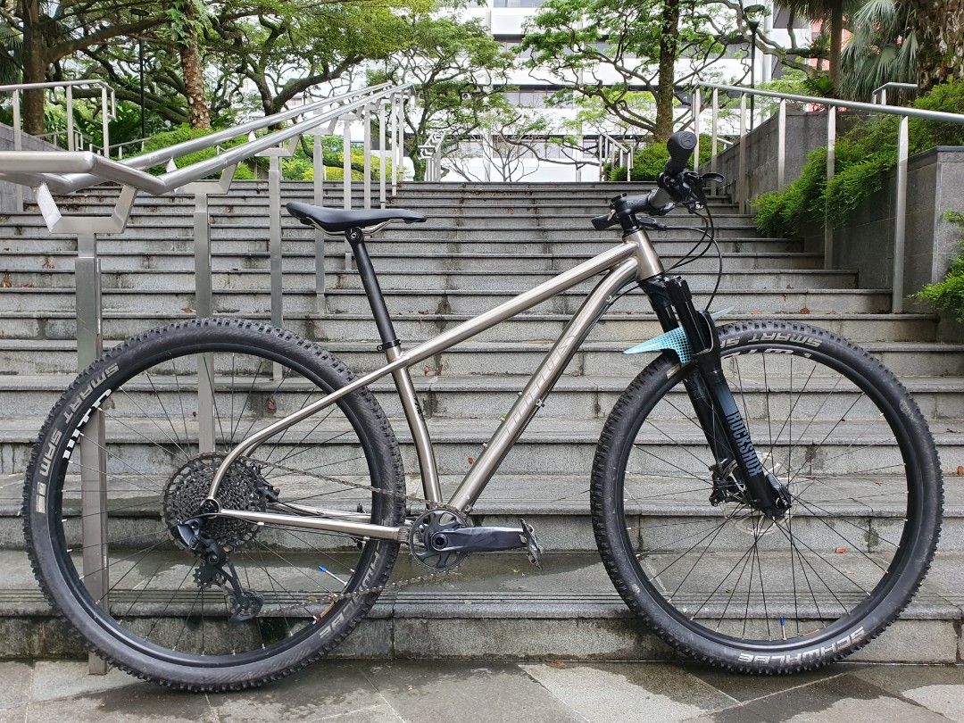 Titus titanium sales mountain bike