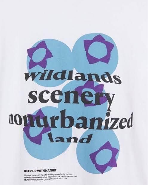 Wildland Scenery Graphic Tee H&M (Category: Tshirts & Polo Shirts ) located in Los Banos. Submitted by alksndre (Listing ID 1278018819, Image 2). Description: .