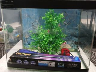 (Category: ) located in . Submitted by asyrafalias93 (Listing ID 1328572496, Image 1). Description: .