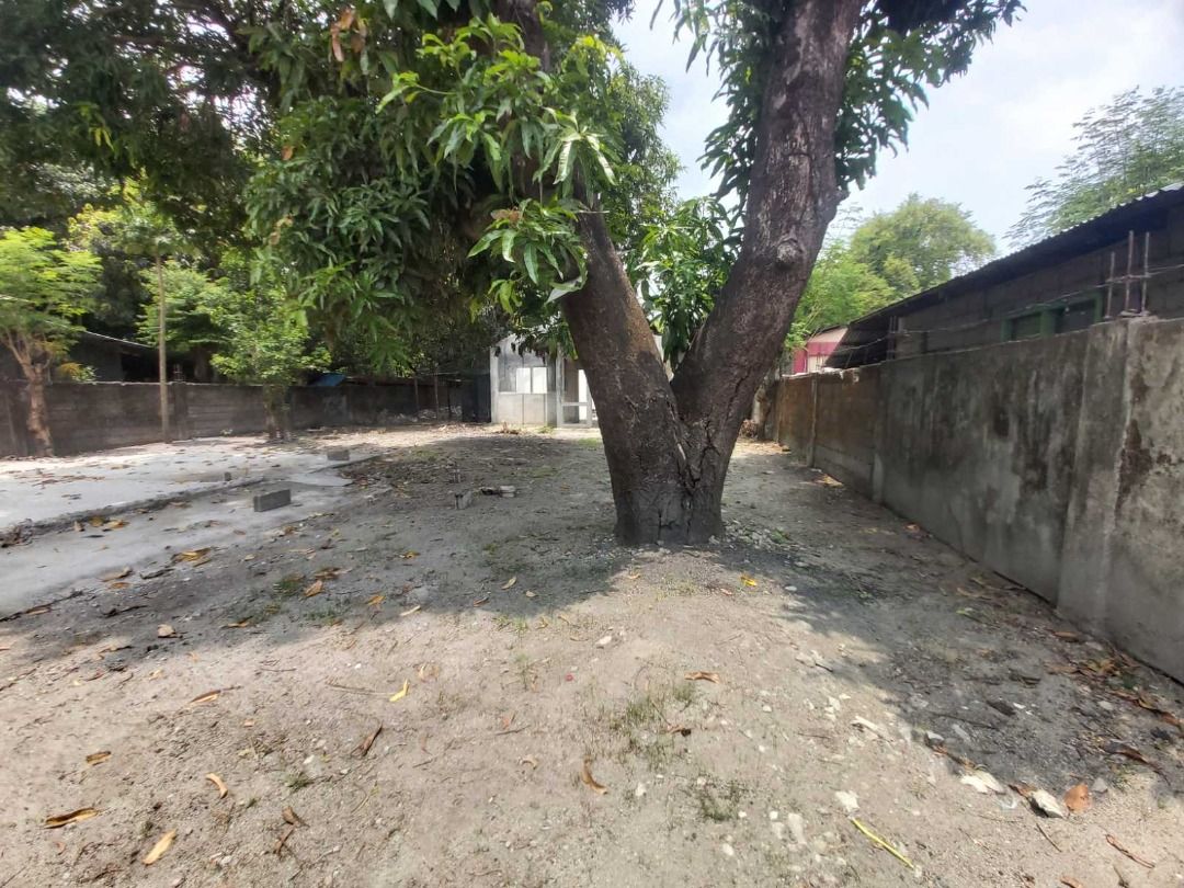 Foreclosed Property FOR SALE located at San Antonio, Zambales, Property