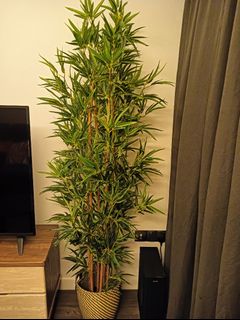 (Category: ) located in . Submitted by bless1975 (Listing ID 1328538168, Image 1). Description: .