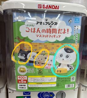 （分類：）位於 。 由 carpiko 提交（商品編號 1330061579，圖片 1）。簡介： 。