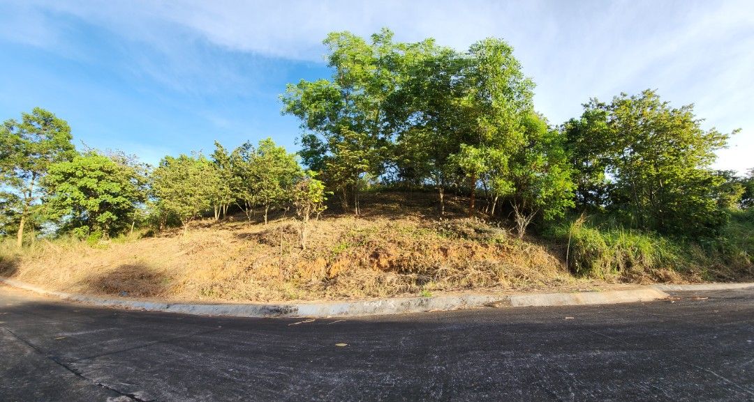 Beautiful mountain view lot for sale at The Glades Timberland by ...
