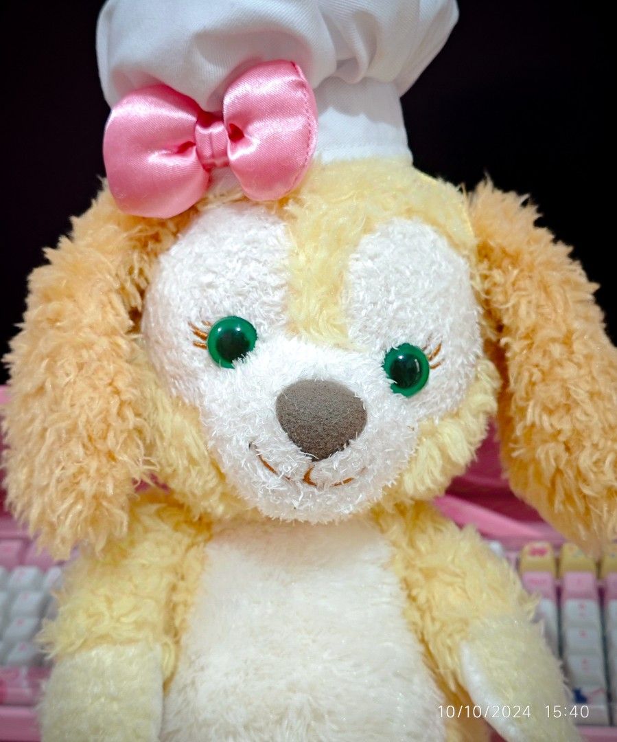 Cookie Ann disney plush, Hobbies & Toys, Toys & Games on Carousell