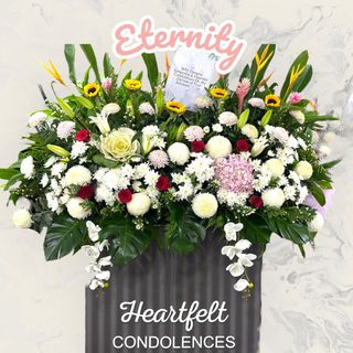 (Category: ) located in . Submitted by theflowerguy (Listing ID 1322451952, Image 1). Description: .
