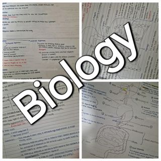 Secondary 3/4 Biology and Singapore Junior Biology Olympiad (SJBO ...