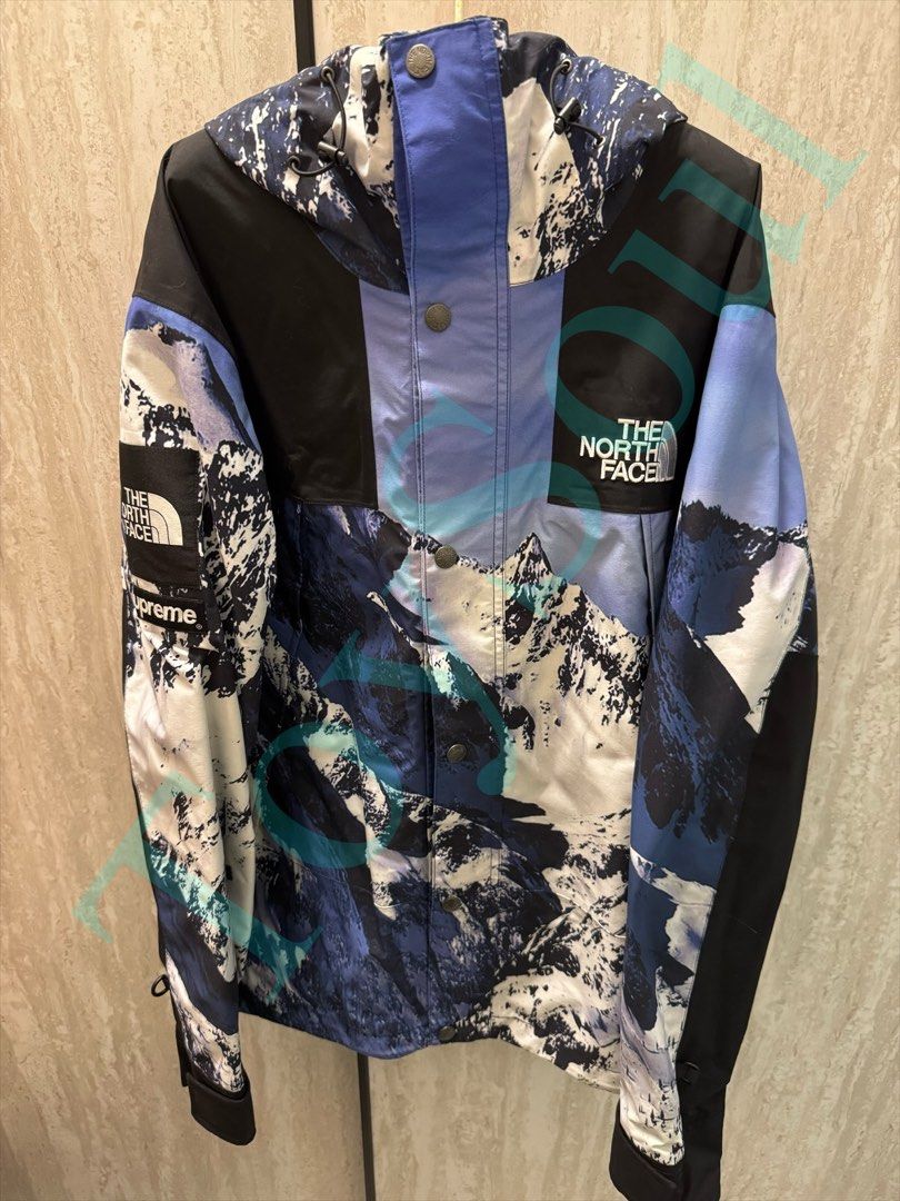 Supreme x TNF Mountain Parka 雪山