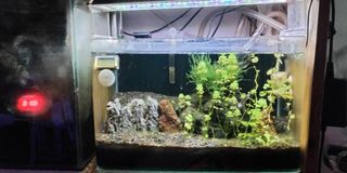 (Category: ) located in . Submitted by afir81 (Listing ID 1330286854, Image 1). Description: .