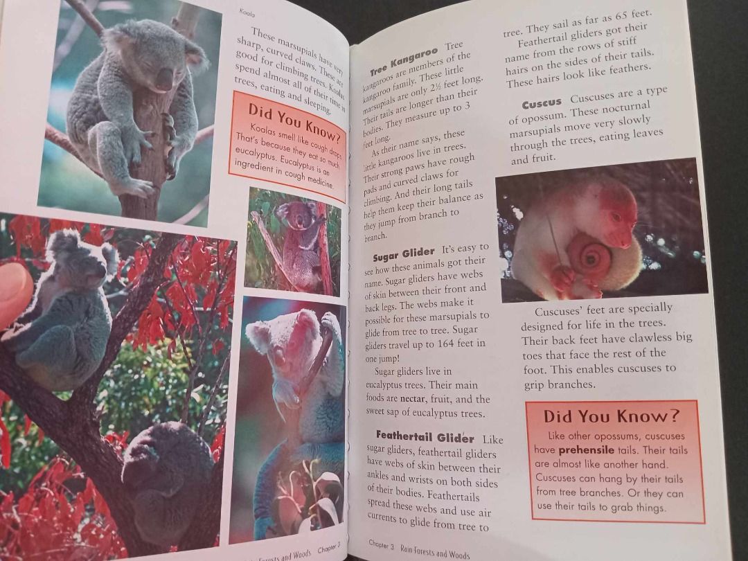 Coffee Table Book Animal Geography Australia preloved, Hobbies & Toys