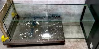 (Category: ) located in . Submitted by rand0m123 (Listing ID 1330369106, Image 1). Description: .