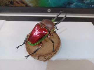 （分類：）位於 。 由 alephtang75299 提交（商品編號 1330473138，圖片 1）。簡介： 。