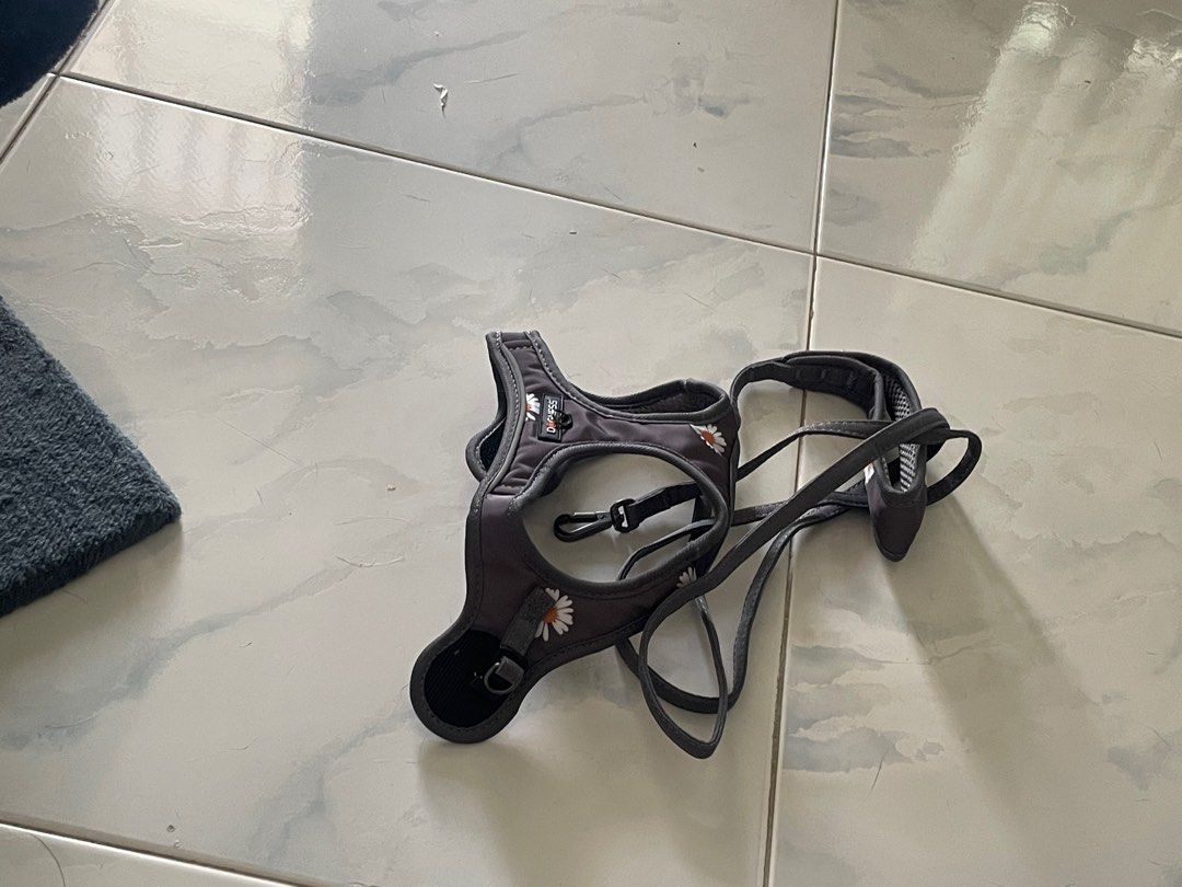 Cat essentials (Category: Homes & Other Pet Accessories) located in Singapore. Submitted by THIDA_win (Listing ID 1330345957, Image 2). Description: 3 items, cat tree (excluding cat 🐱😂)and bed are lightly used. Harness never used before but just tried the size. Free if you willing to collect from my place. .