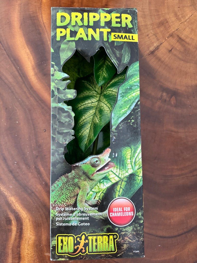 Reptile dripper plant sale