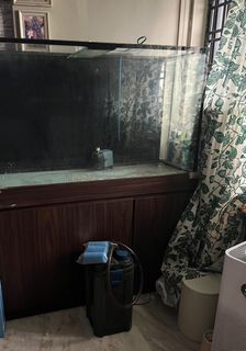 (Category: ) located in . Submitted by laksalormee (Listing ID 1330386039, Image 1). Description: .