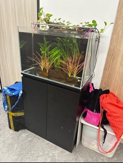 (Category: ) located in . Submitted by smart.supply (Listing ID 1330432740, Image 1). Description: .