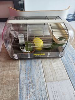 (Category: ) located in . Submitted by Vicynic (Listing ID 1330357867, Image 1). Description: .