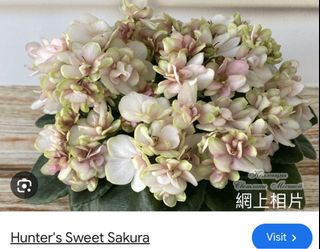 （分類：）位於 。 由 sellring 提交（商品編號 1326348222，圖片 1）。簡介： 。