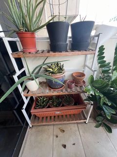 (Category: ) located in . Submitted by jinkoro (Listing ID 1330348878, Image 1). Description: .