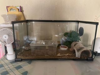 （分類：）位於 。 由 engusubeefu 提交（商品編號 1330601491，圖片 1）。簡介： 。