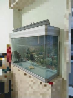 （分類：）位於 。 由 tracyisapig 提交（商品編號 1330660317，圖片 1）。簡介： 。