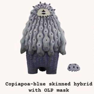 【お試し価格！】 羅本製所Robin Ceramic Studio 黑王丸Copiapoa（藍皮實生個體 その他