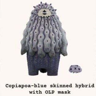 羅本製所Robin Ceramic Studio 黑王丸Copiapoa（藍皮實生個體
