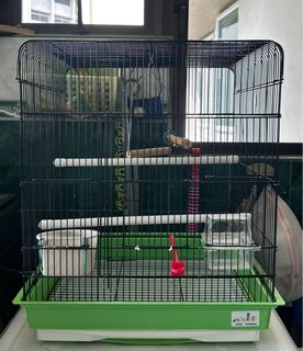(Category: ) located in . Submitted by pishy67 (Listing ID 1330535994, Image 1). Description: .