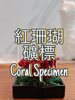 （分類：）位於 。 由 jms_jimusho 提交（商品編號 1330654494，圖片 1）。簡介： 。