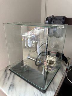 (Category: ) located in . Submitted by purfette (Listing ID 1330567823, Image 1). Description: .