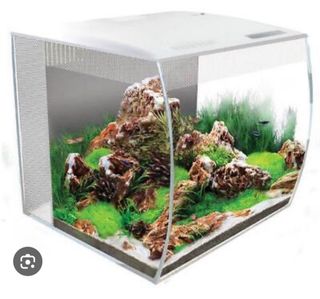 (Category: ) located in . Submitted by Susmithakolli (Listing ID 1330618289, Image 1). Description: .