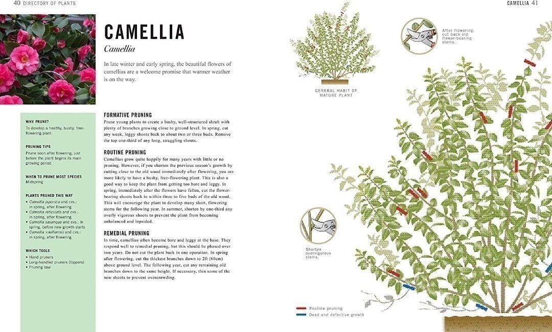 {Gardening Guide / Book} Pruning Simplified: A Step-by-Step Guide to 50 ...