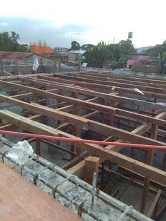 Roof and ceiling  repair and other construction works