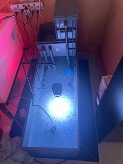 (Category: ) located in . Submitted by clxhh (Listing ID 1330658457, Image 1). Description: .