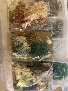 （分類：）位於 。 由 ktchinh 提交（商品編號 1330781894，圖片 1）。簡介： 。