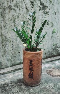 （分類：）位於 。 由 simon1997ng 提交（商品編號 1330822330，圖片 1）。簡介： 。