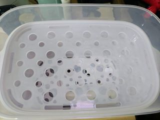 （分類：）位於 。 由 avenger123 提交（商品編號 1330743010，圖片 1）。簡介： 。