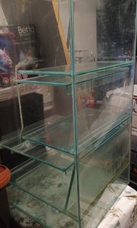 (Category: ) located in . Submitted by diantodian (Listing ID 1330836518, Image 1). Description: .