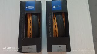 (Category: ) located in . Submitted by mitchellsg (Listing ID 1330712611, Image 1). Description: .