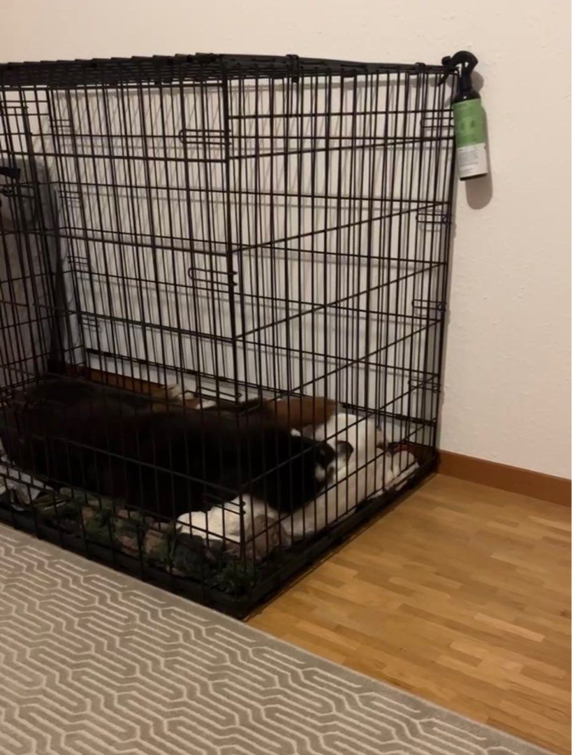 Ultima pro dog crate hot sale