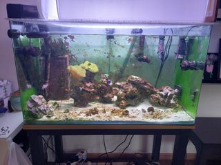 (Category: ) located in . Submitted by mutwil (Listing ID 1330897581, Image 1). Description: .
