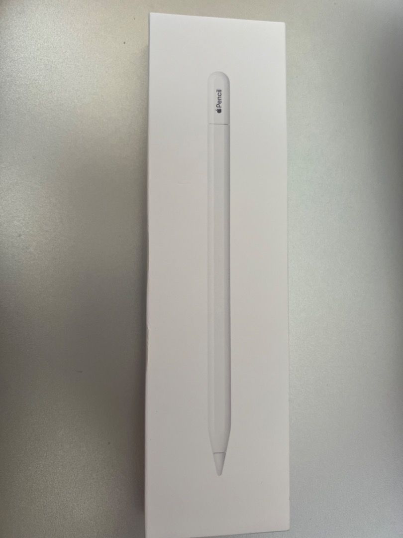 Apple Pencil USBc 美品 極美品 2024年5月購入品 Apple Pencil