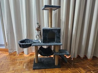 (Category: ) located in . Submitted by lv.hasin (Listing ID 1330953775, Image 1). Description: .