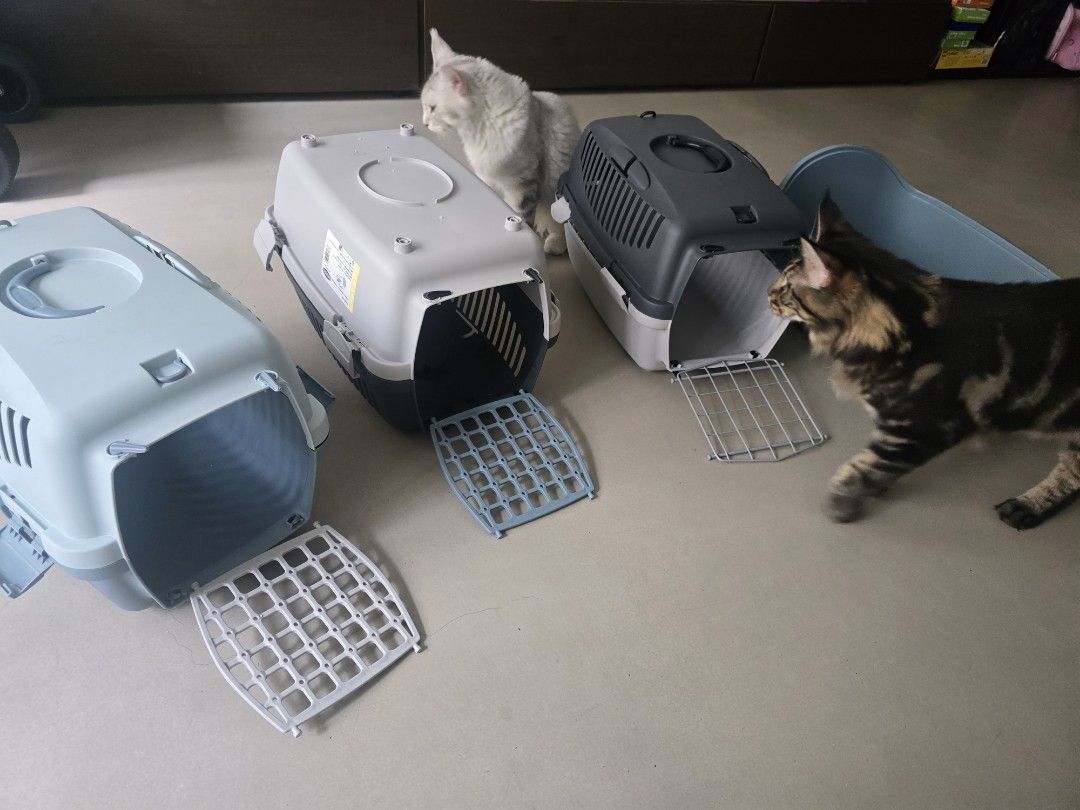 Used cat carrier outlet