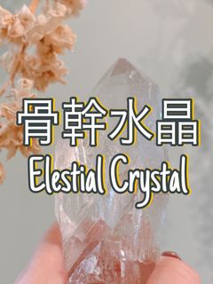 （分類：）位於 。 由 jms_jimusho 提交（商品編號 1331041211，圖片 1）。簡介： 。
