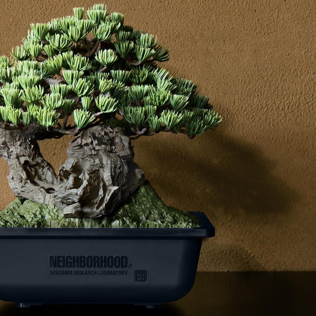 Neighborhood SRL x Bandai Spirits Bonsai Model Kit, Hobbies & Toys