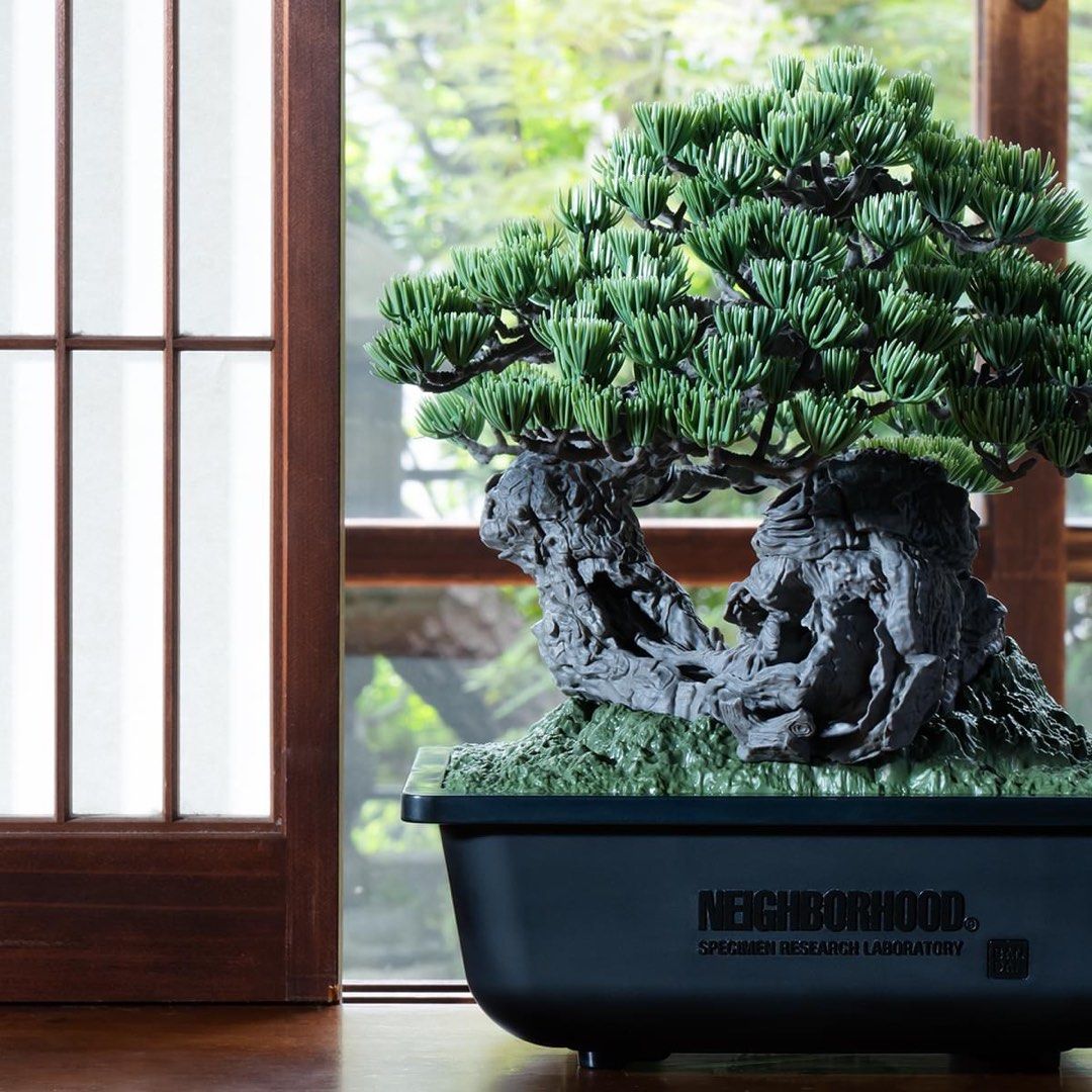 Neighborhood SRL x Bandai Spirits Bonsai Model Kit, Hobbies & Toys